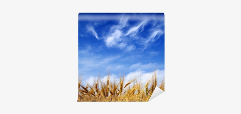 Hand, transparent png #1619941