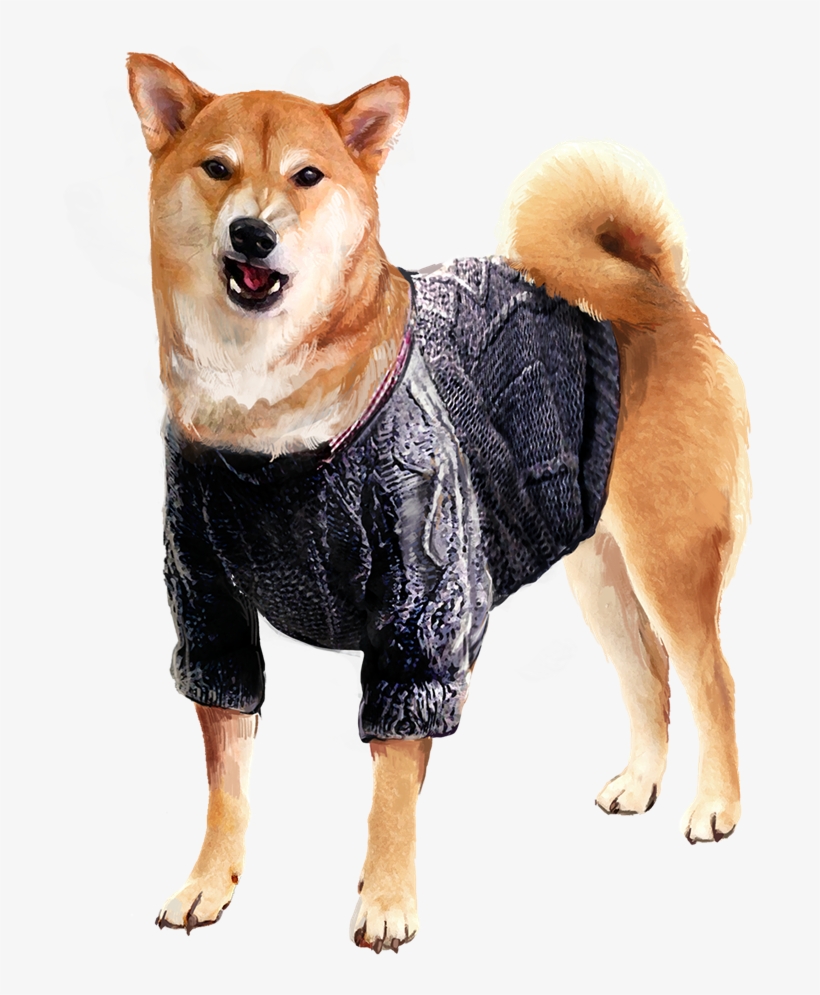 It's Not Every Day You See A Vn With Doggos - Hokkaido, transparent png #1620110