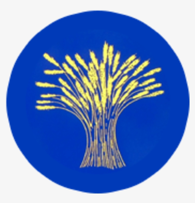 Shine Sports Mornings At Wheatfield Primary School - Circle, transparent png #1620169