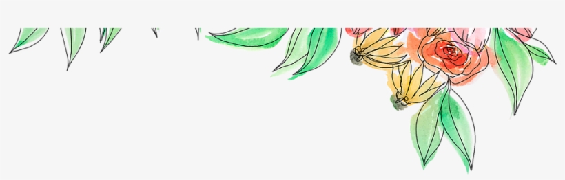 Botanical Line Drawing - Drawing, transparent png #1621467