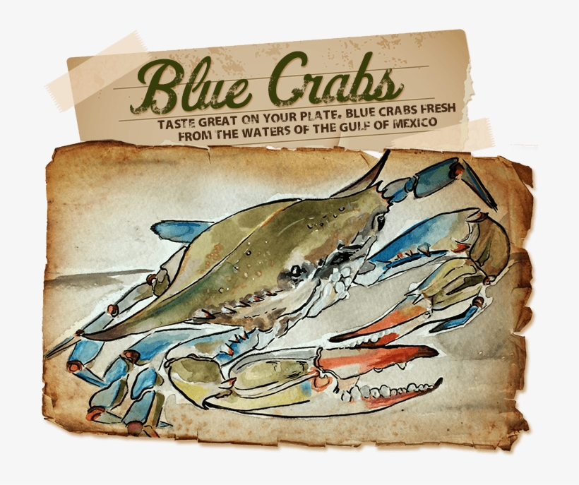 Taste Great On Your Plate - Blue Crabs, transparent png #1623389