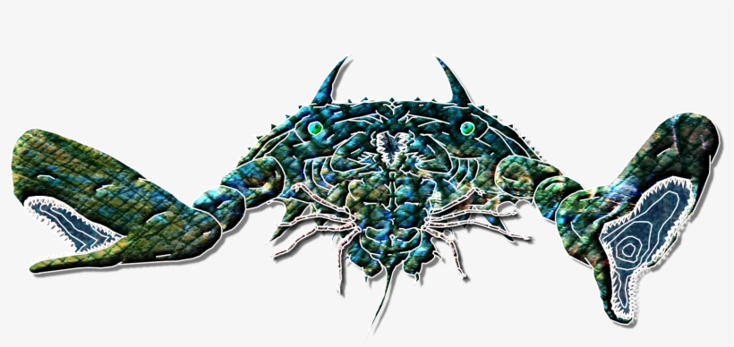 Whale Crab - Crab, transparent png #1623498
