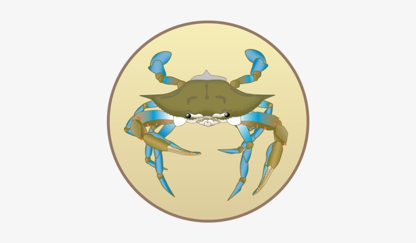 Ian Symbol Blue Crab Management - Clip Art, transparent png #1623557