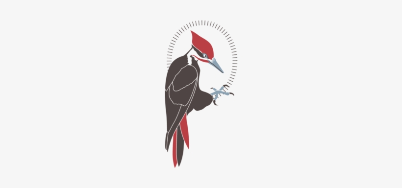 Peckertransparent - Woodpecker By David Burke Logo, transparent png #1623797
