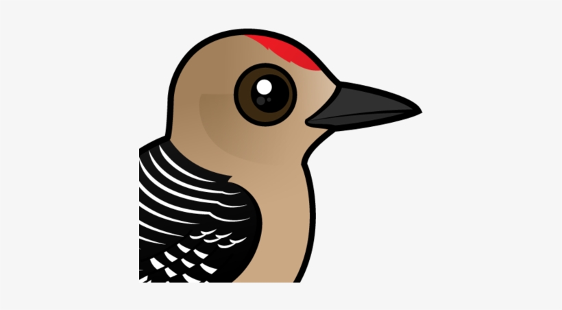 Woodpecker Clipart Two - Zazzle Birdorable Gila Woodpecker Ring, Adult Unisex,, transparent png #1624203