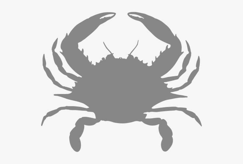 Blue Crab - Blue Crab Eyes, transparent png #1624521