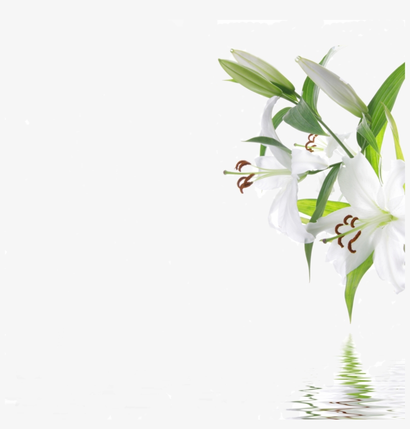 Quienes Somosd - Background Spa, transparent png #1625287