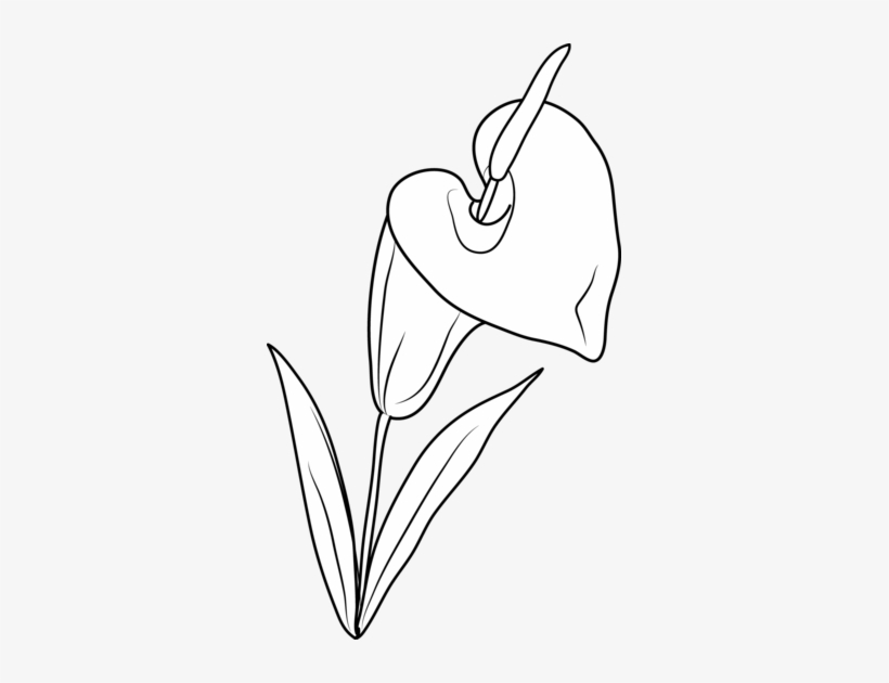 White Lily Clipart - Clip Art, transparent png #1625626