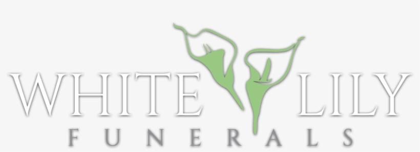 Every Life Lived Is Precious - Bai Baihe, transparent png #1625757