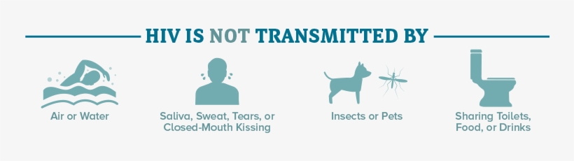 Hiv Is Not Transmitted By Air Or Water - Hiv Spread, transparent png #1627216