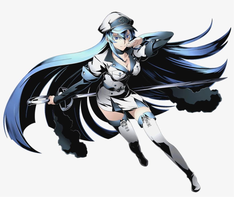 Kiryuin Satsuki Vs Esdeath And Akame Vs Erza Scarlet - Akame Ga Kill X Divine Gate, transparent png #1627688