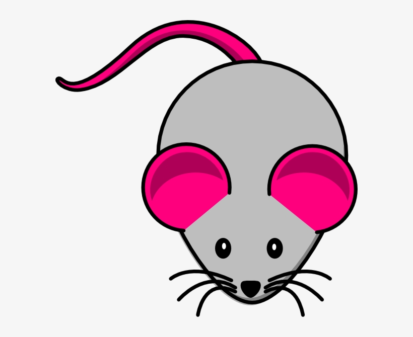 Mice Clipart Cat Toy Frames Illustrations Hd Clip Art For Mouse Free Transparent Png Download Pngkey