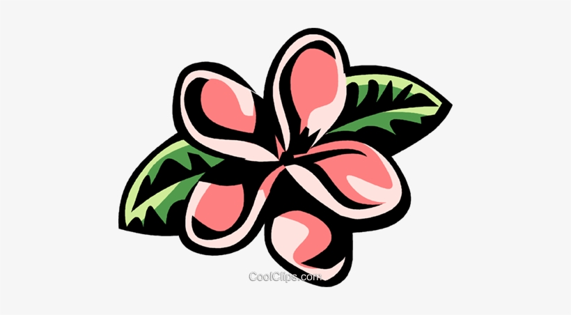 Plumeria Royalty Free Vector Clip Art Illustration - Plumeria Clip Art, transparent png #1628900