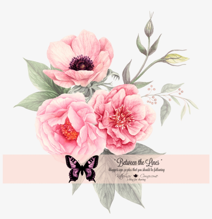 Phillipians 4:13 Pillow Case, transparent png #1629040