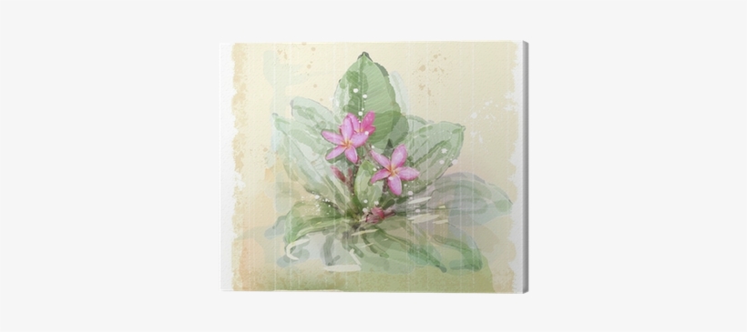Frangipani Flower - Evsimo Dekoratif Yastık 40x40 Cm - (452-13079), transparent png #1629390