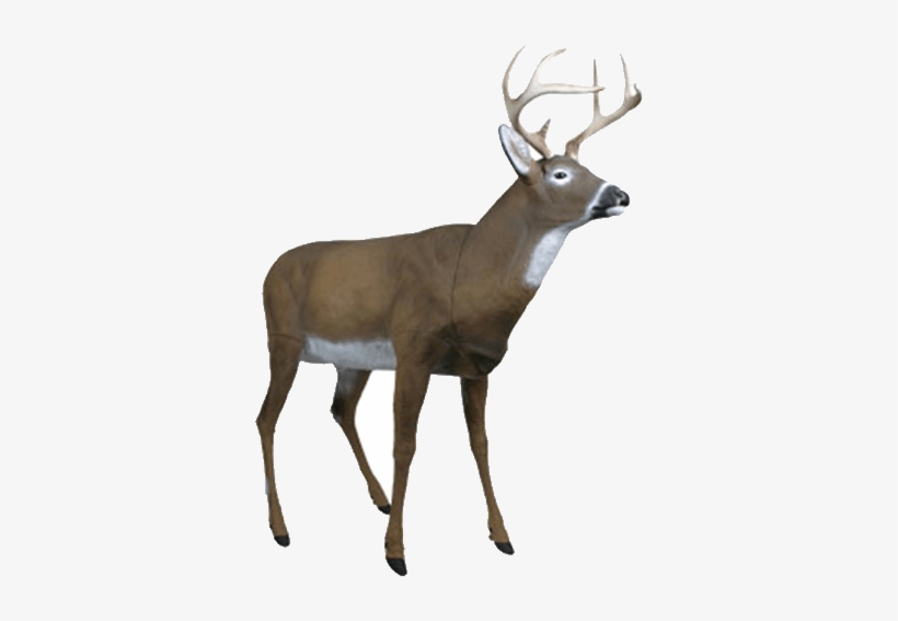 Flambeau Masters Series Boss Buck- Whitetail Deer Decoy - Flambeau Masters Series Boss Buck Decoy, transparent png #1629877
