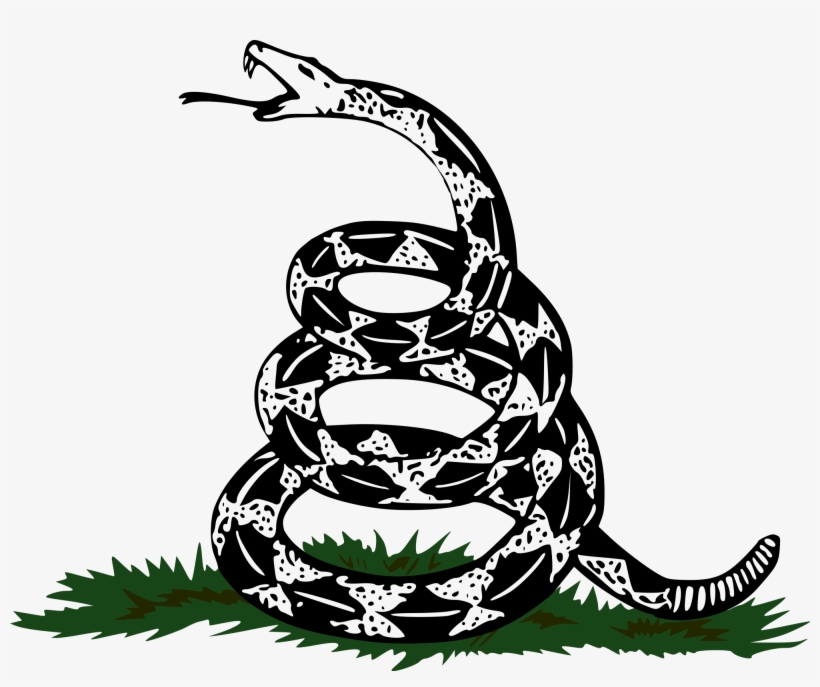 Gadsden Snake Png Clip Library Stock - Don T Tread On Me Png, transparent png #1629896