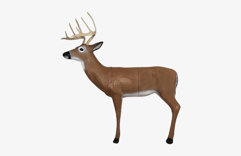 Hill Country Whitetail Archery Target - Mckenzie Deer Target, transparent png #1629943