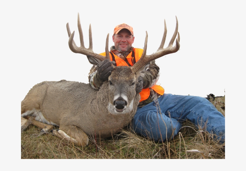 North Dakota South Dakota Deer Hunting - North Dakota Whitetail Bucks, transparent png #1630069