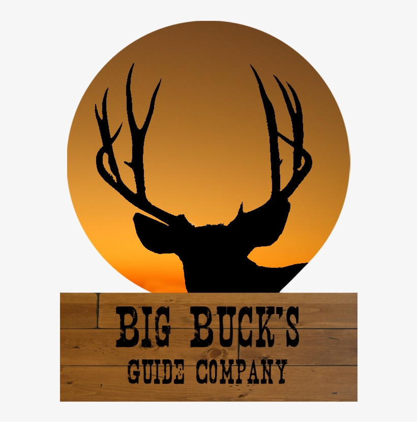 Logo - Beware The Colorguard Ornament (round), transparent png #1630206