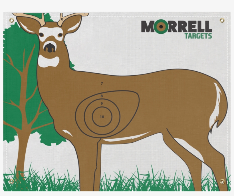 Share With Friends - Morrell Polypropylene Target - Face Nasp/ibo Whitetail, transparent png #1630230