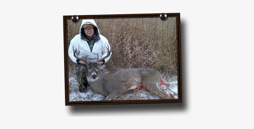 Whitetail Deer Hunting Photos - Deer Hunting, transparent png #1630830