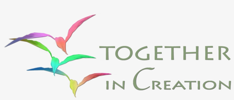 Final Tic Logo - Final Tic, transparent png #1631050