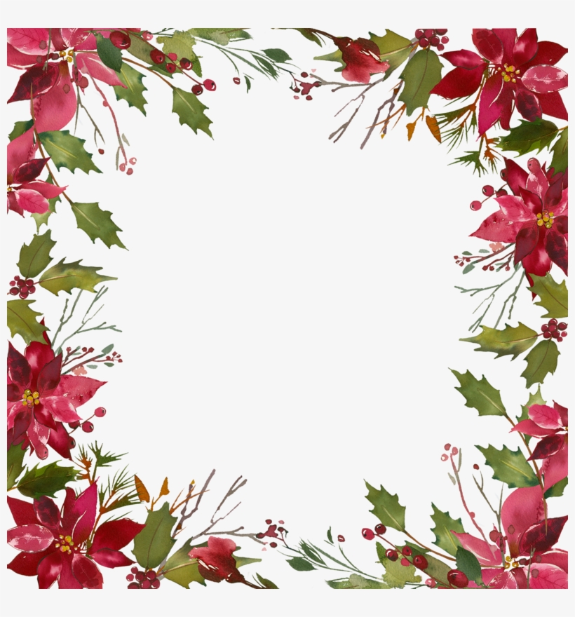 Фото, Автор ✿lili@ ✿ На Яндекс - Poinsettia, transparent png #1631149