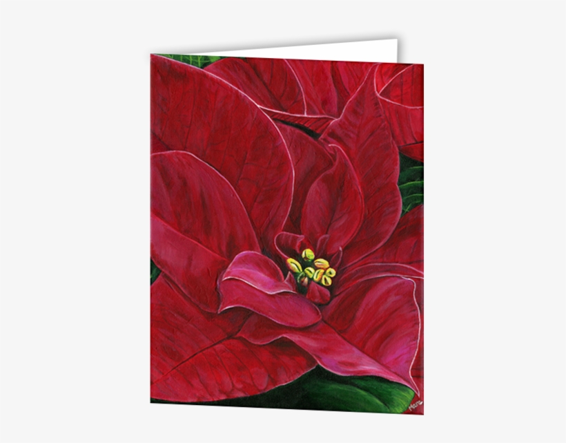 Uniquely Made Greeting Cards In An 8 Pack Set Printed - Poinsettia, transparent png #1631283