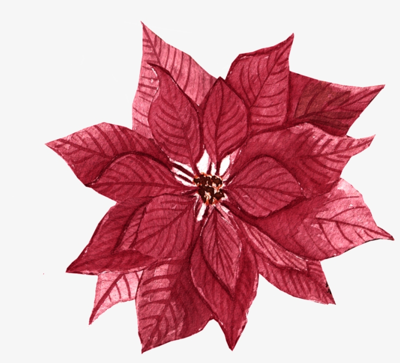 Red Maple Leaf Flower Free Illustration - Leaf, transparent png #1631334