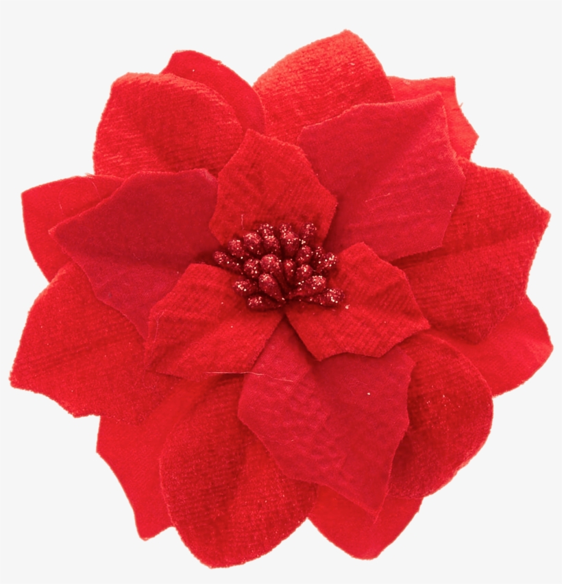 Artificial Poinsettia - Transparent Blue Poinsettia, transparent png #1631372