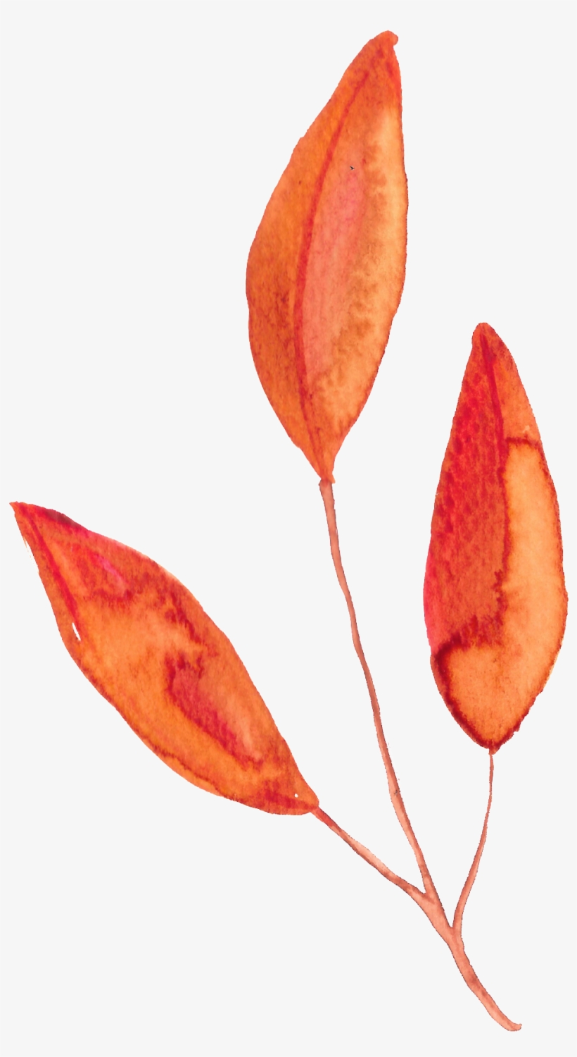 Hand Painted Orange Three Slices Of Leaf Watercolor - Watercolor Painting, transparent png #1631403