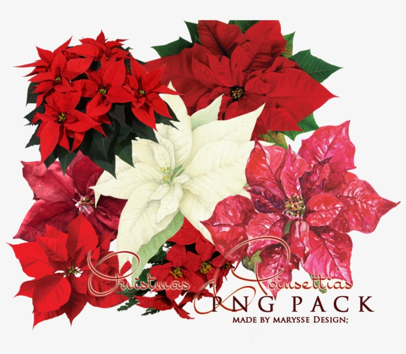 Christmas Flowers Png - Flowers For Cemeteries Red Poinsettia Artificial Saddle, transparent png #1631566