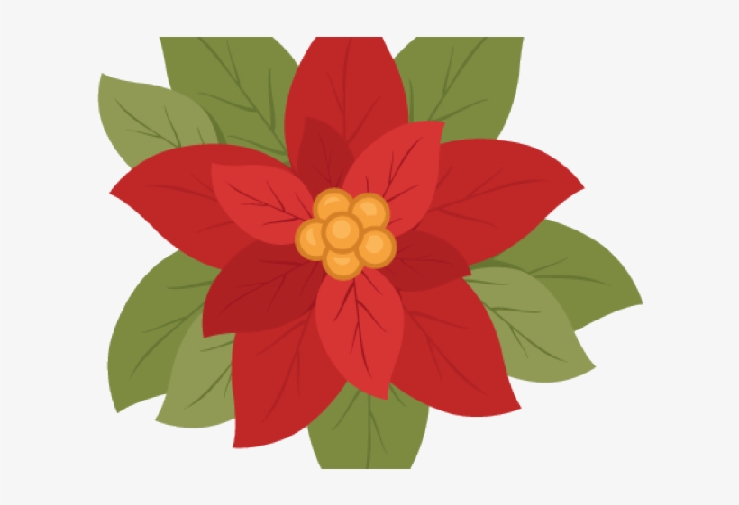 Poinsettia, transparent png #1631665