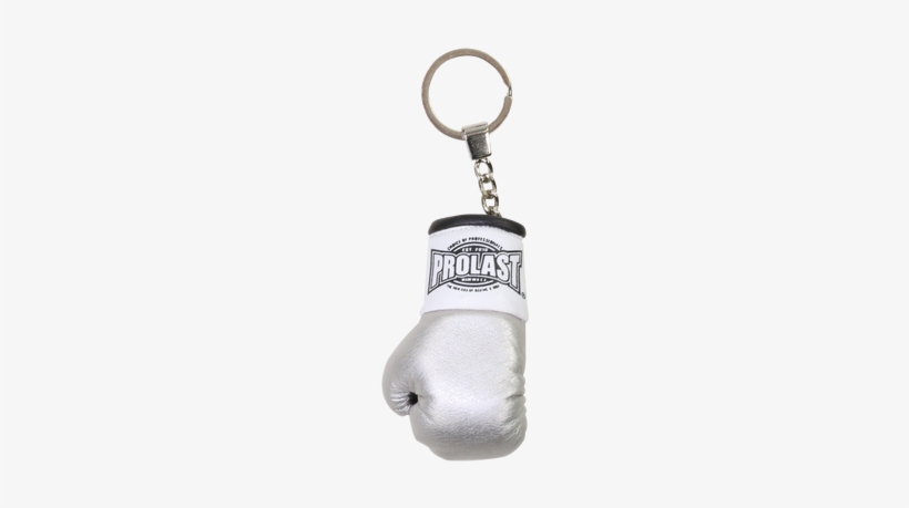 Prolast Mini Boxing Glove Key Ring Platinum Color - Boxing, transparent png #1632771