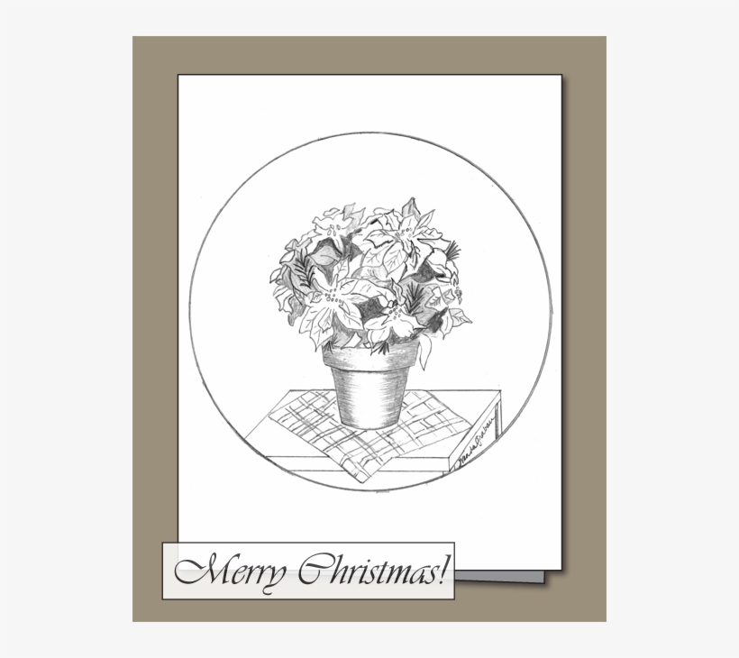 Poinsettia, transparent png #1633199