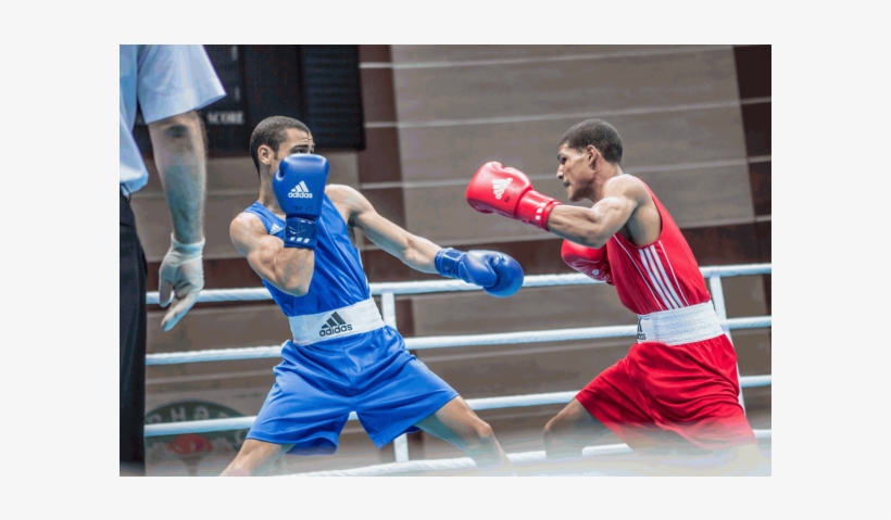 Adidas Boxing Gloves And Trunks, transparent png #1633279