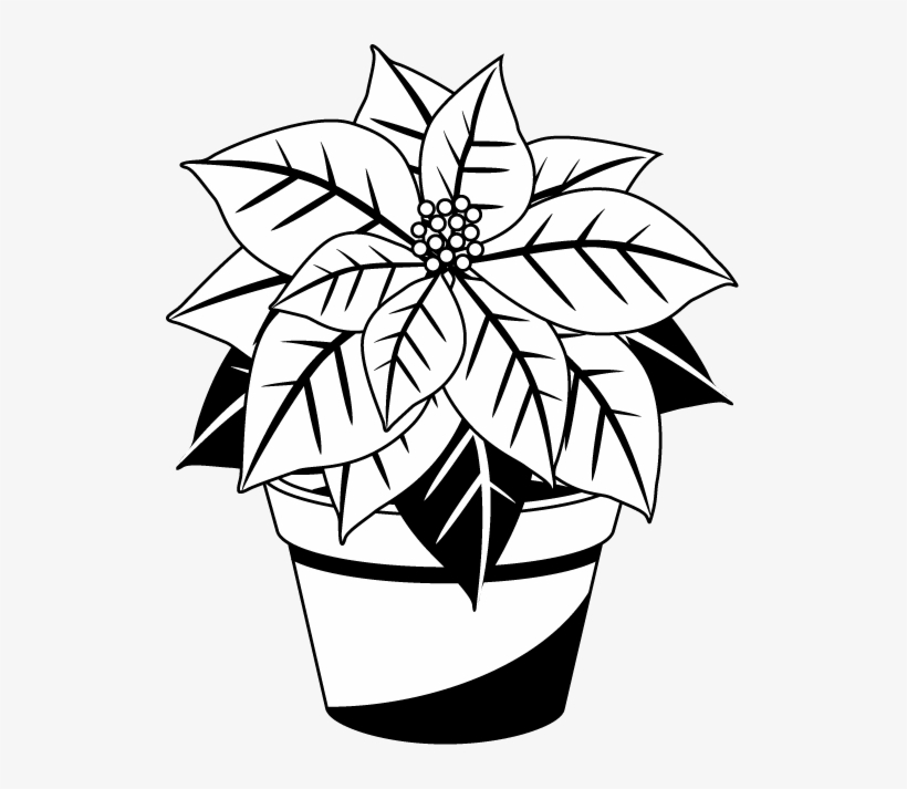 Svg Library Stock Collection Of Christmas - Black And White Poinsettia Clipart, transparent png #1633431