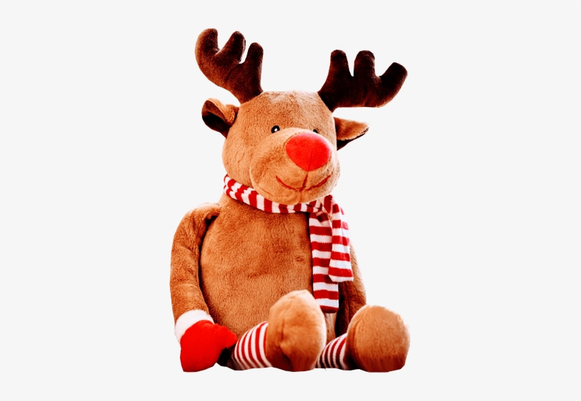 Red Nose Reindeer - Furniture Christmas Advert, transparent png #1634347