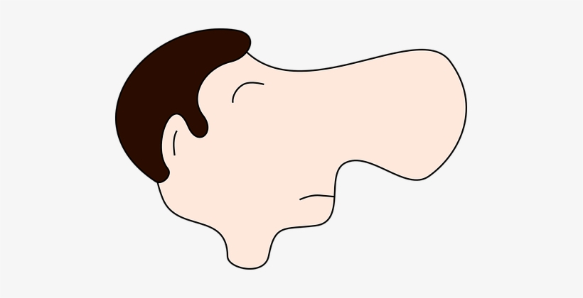 Male Man Nose Large Nose Nose Nose Nose No - Big Nose Clipart, transparent png #1634446