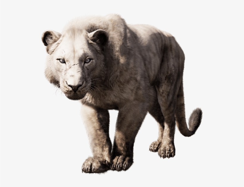 Image Far Cry Primal Cave Lion Png Far Cry Wiki Fandom - Far Cry Cave Lion, transparent png #1634952
