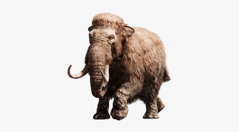 長毛象 - Far Cry Primal Mammut, transparent png #1635016