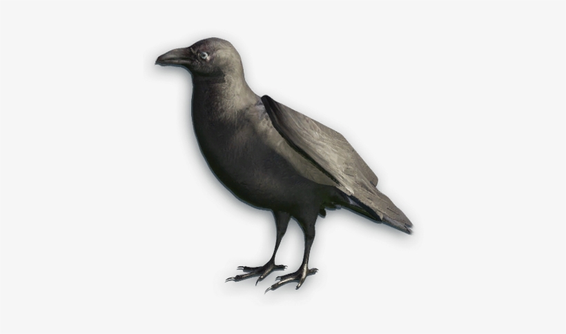 Far Cry Primal Crow, transparent png #1635383