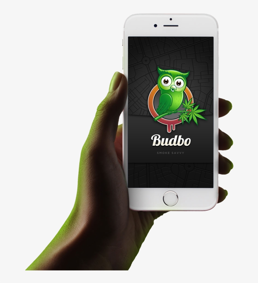 Hand-2 - Tvos, transparent png #1636488