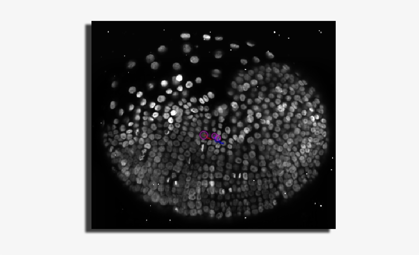 Portable Network Graphics, transparent png #1636796