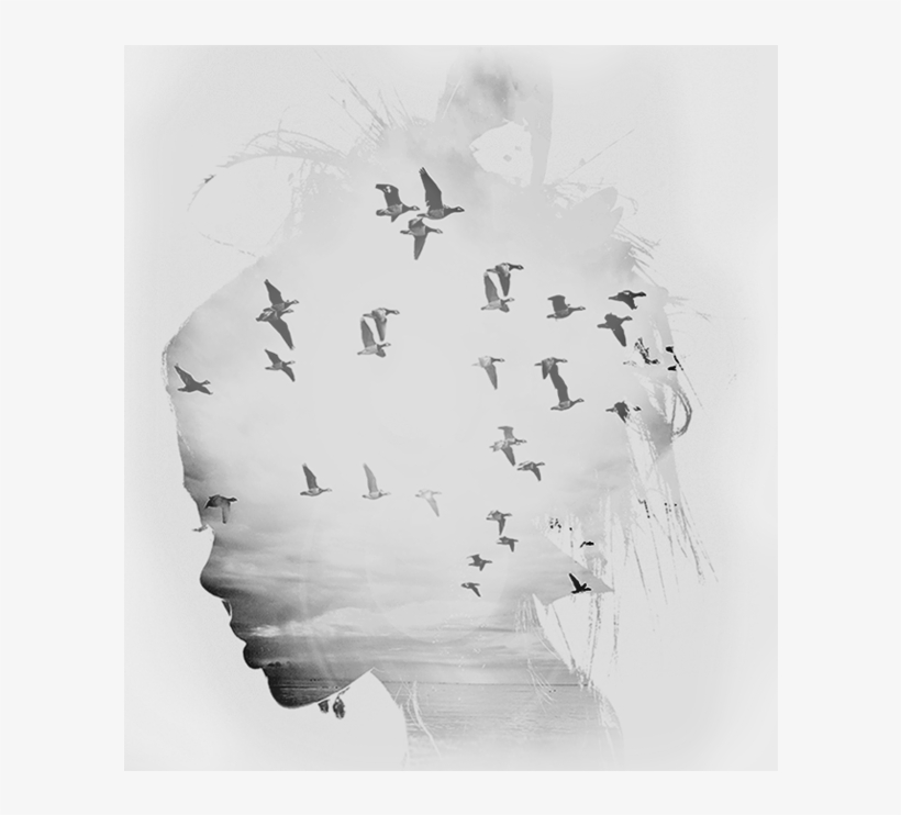 Web Design Penrith - Eberhard Rink: Befreit Durch Deine Gnade Cd, transparent png #1637355