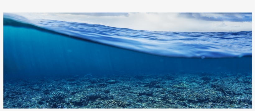 Aqua - Jpmorgan Chase, transparent png #1637521