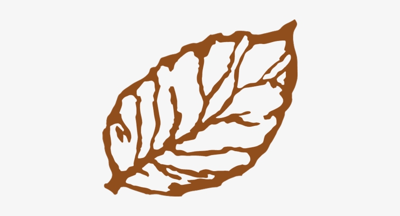 Turning Over A New Leaf - Tobacco Leaf Clip Art, transparent png #1639339