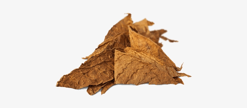 Tobacco Png - Tabaco Virginia En Png, transparent png #1639345