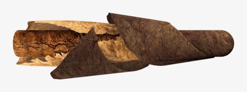 Anatomy Of Cigars - Tobacco Leaf Wrapped, transparent png #1639366
